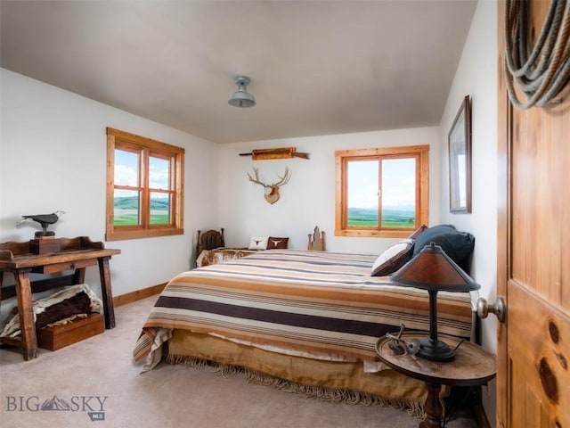 935 Bates Rd, Manhattan, MT 59741 - photo 26