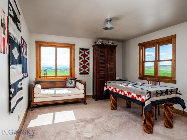 935 Bates Rd, Manhattan, MT 59741 - photo 27