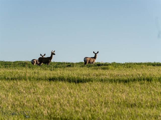 935 Bates Rd, Manhattan, MT 59741 - photo 7