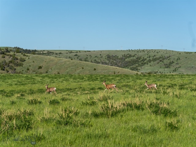 935 Bates Rd, Manhattan, MT 59741 - photo 48