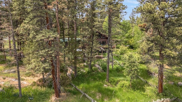 1561/1563 Colorado Gulch Dr, Helena, MT 59601 - view of tree filled area