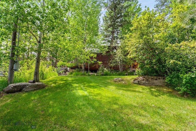 1561/1563 Colorado Gulch Dr, Helena, MT 59601 - view of green lawn