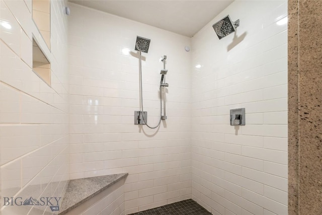 1561/1563 Colorado Gulch Dr, Helena, MT 59601 - bathroom featuring tiled shower