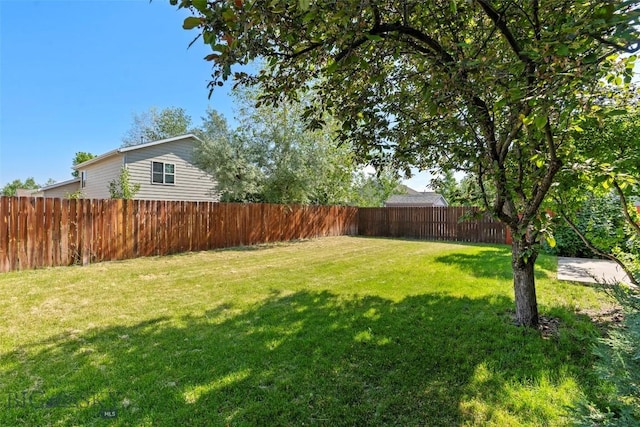 2603 Snapdragon, Bozeman, MT 59718 - view of yard