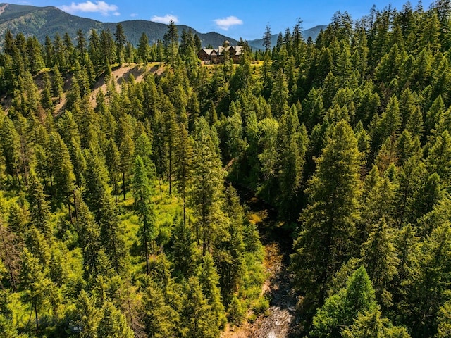 135 Squire Ln S, Trout Creek, MT 59874 - photo 89