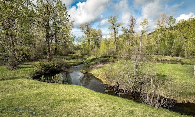 40A Susie Creek Rd, Mcleod, MT 59052 - photo 41