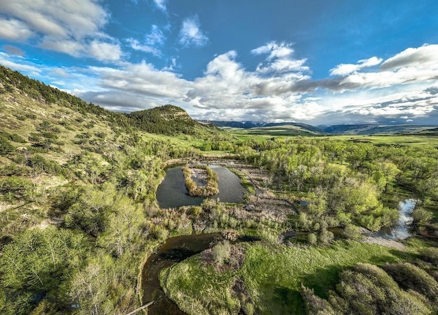 40A Susie Creek Rd, Mcleod, MT 59052 - photo 43