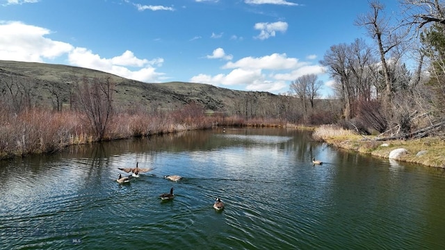 40A Susie Creek Rd, Mcleod, MT 59052 - photo 45