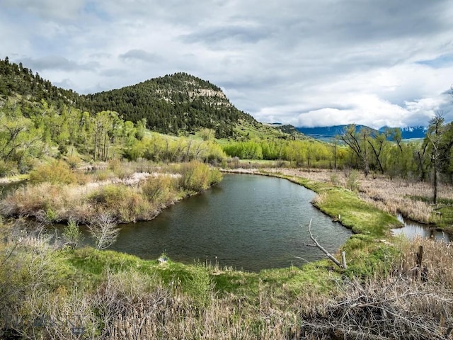 40A Susie Creek Rd, Mcleod, MT 59052 - photo 34