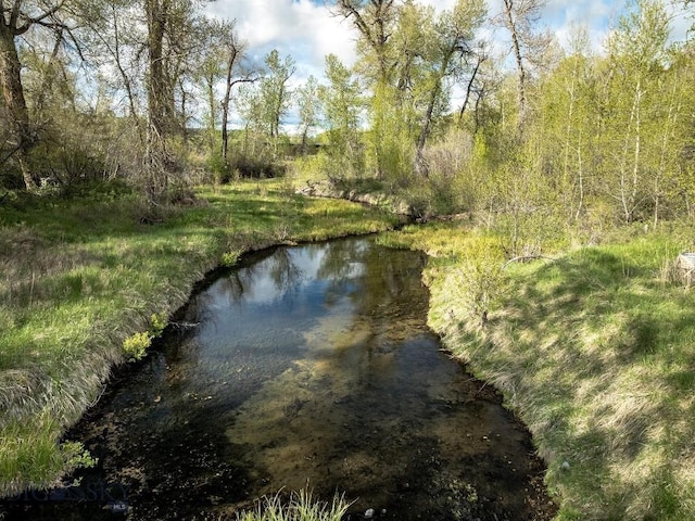 40A Susie Creek Rd, Mcleod, MT 59052 - photo 37