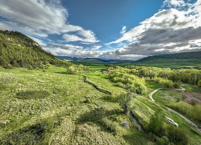 40A Susie Creek Rd, Mcleod, MT 59052 - photo 48