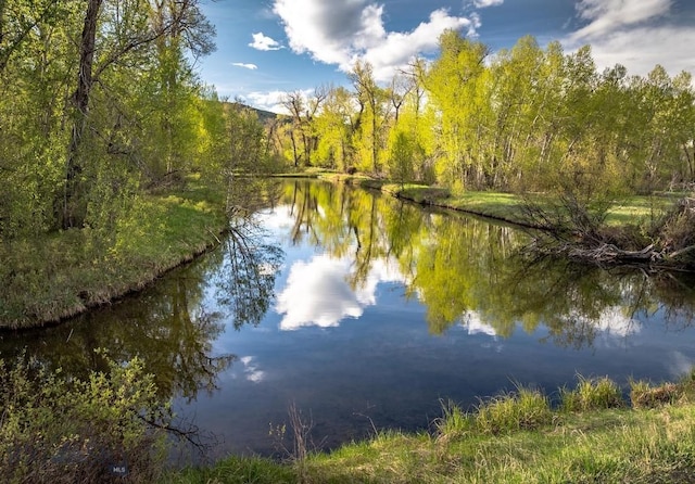 40A Susie Creek Rd, Mcleod, MT 59052 - photo 49