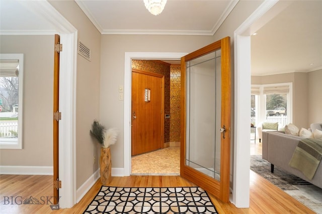 503 S Willson Ave, Bozeman, MT 59715 - photo 6