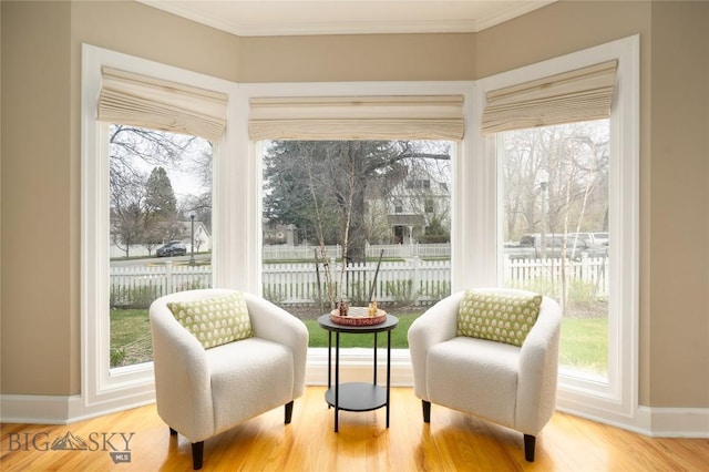 503 S Willson Ave, Bozeman, MT 59715 - living area featuring baseboards, ornamental molding, and wood finished floors