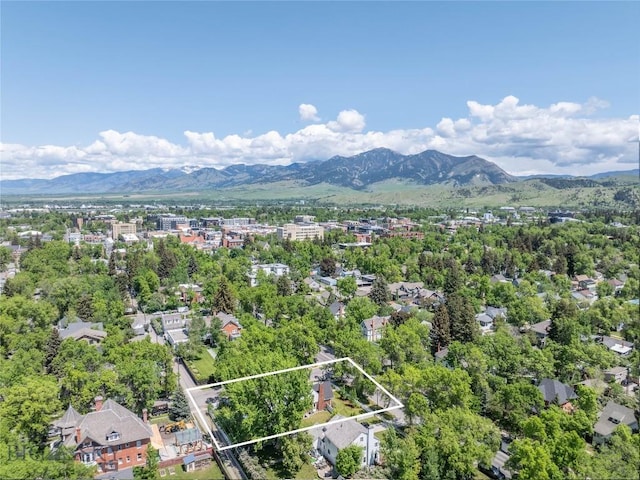 503 S Willson Ave, Bozeman, MT 59715 - photo 36