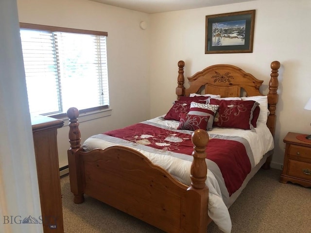 120 Firelight Dr Unit C15, Big Sky, MT 59716 - carpeted bedroom featuring a baseboard heating unit
