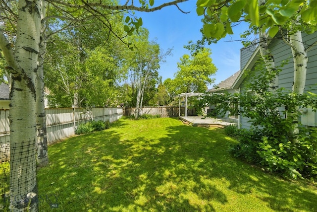 1205 Brentwood, Bozeman, MT 59718 - view of yard