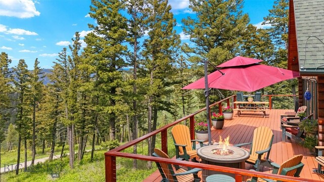 100 Peacemaker Rd, Bozeman, MT 59715 - photo 11