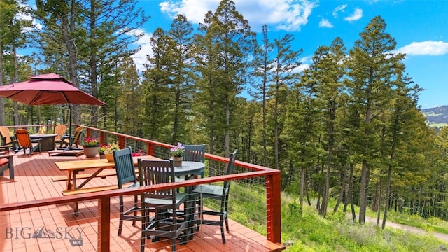 100 Peacemaker Rd, Bozeman, MT 59715 - photo 12