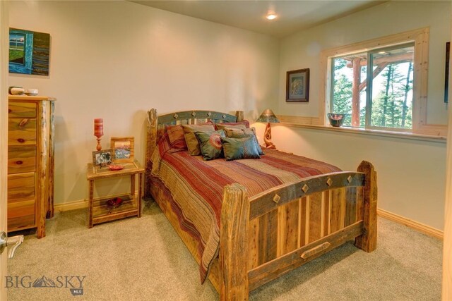 100 Peacemaker Rd, Bozeman, MT 59715 - photo 66