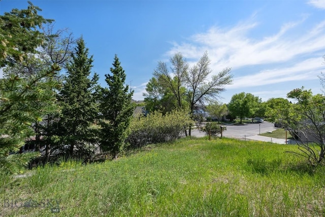 411 W 7th St, Anaconda, MT 59711 - view of yard