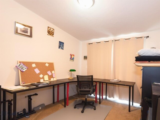 3400 Mt Highway 91 N, Dillon, MT 59725 - photo 21