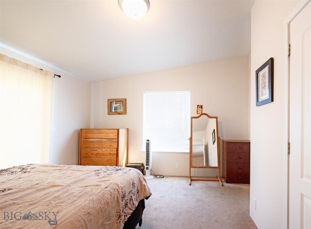 3400 Mt Highway 91 N, Dillon, MT 59725 - photo 18