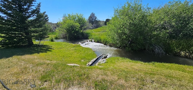 13 Shefield Dr, Ennis, MT 59729 - view of yard