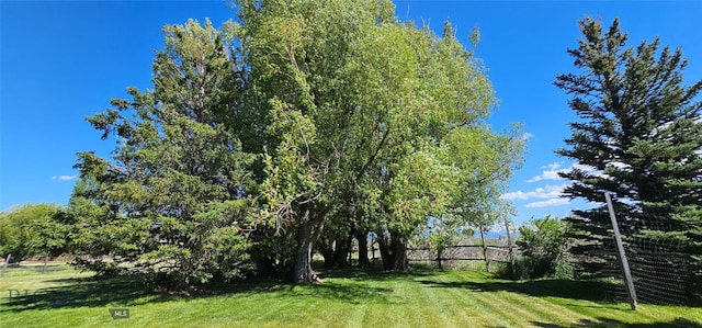 13 Shefield Dr, Ennis, MT 59729 - view of yard
