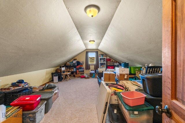 702 Nebula St, Livingston, MT 59047 - photo 12