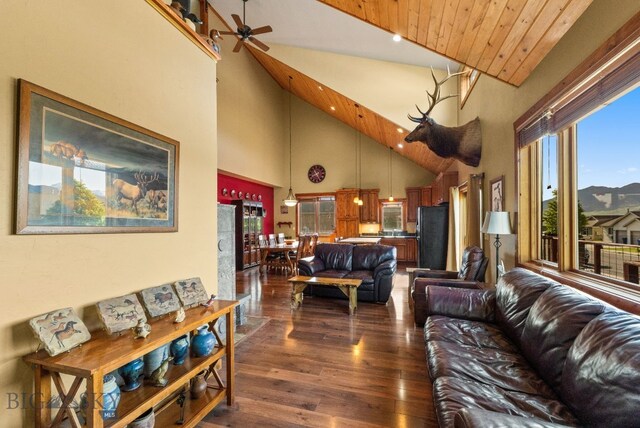 702 Nebula St, Livingston, MT 59047 - photo 20