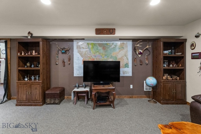 702 Nebula St, Livingston, MT 59047 - photo 29