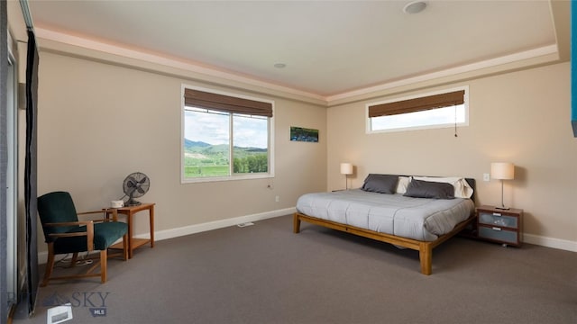 15 Blue Grouse Ct, Bozeman, MT 59715 - carpeted bedroom with baseboards and a desk