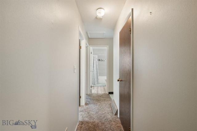 303 Sharon Ct, Anaconda, MT 59711 - hallway with carpet flooring