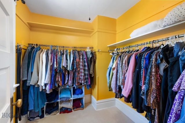 602 S 6th Ave, Bozeman, MT 59715 - spacious closet with carpet