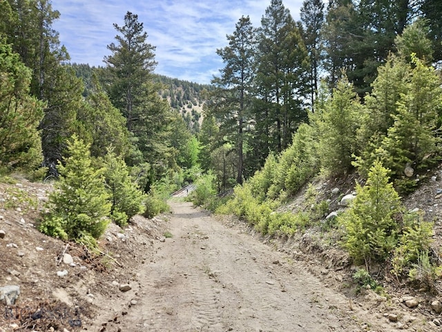 NHN Lost Creek Rd, Anaconda, MT 59711 - photo 6