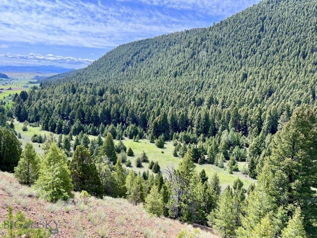 NHN Lost Creek Rd, Anaconda, MT 59711 - photo 9