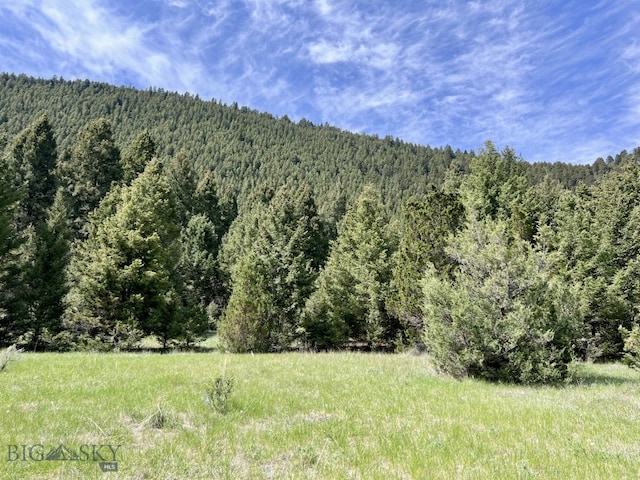 NHN Lost Creek Rd, Anaconda, MT 59711 - photo 12