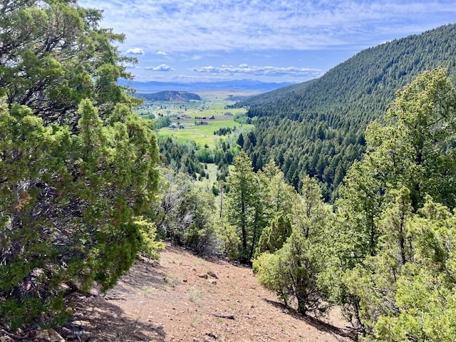NHN Lost Creek Rd, Anaconda, MT 59711 - photo 13