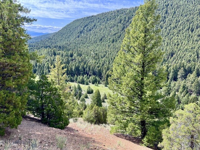 NHN Lost Creek Rd, Anaconda, MT 59711 - photo 14