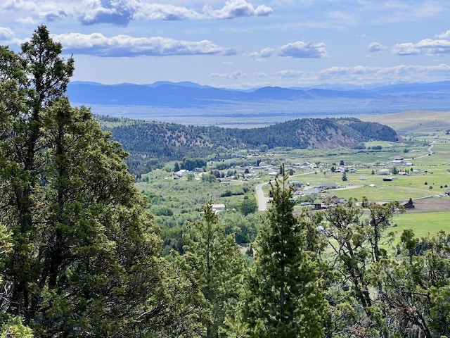 NHN Lost Creek Rd, Anaconda, MT 59711 - photo 16