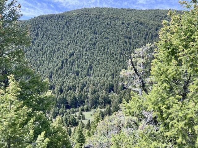 NHN Lost Creek Rd, Anaconda, MT 59711 - photo 18