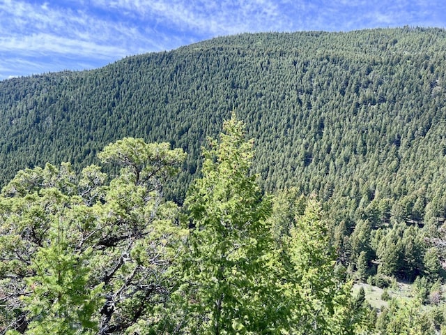 NHN Lost Creek Rd, Anaconda, MT 59711 - photo 19