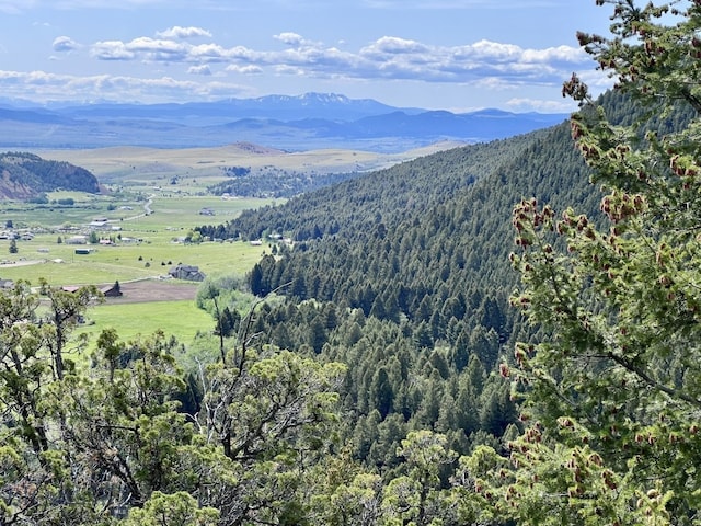 NHN Lost Creek Rd, Anaconda, MT 59711 - photo 33