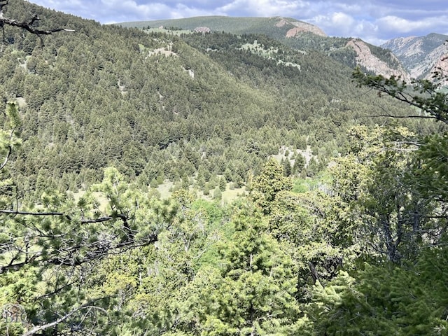 NHN Lost Creek Rd, Anaconda, MT 59711 - photo 20