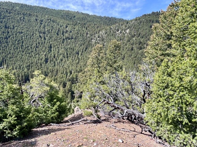 NHN Lost Creek Rd, Anaconda, MT 59711 - photo 21