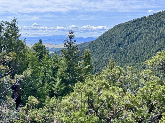 NHN Lost Creek Rd, Anaconda, MT 59711 - photo 22