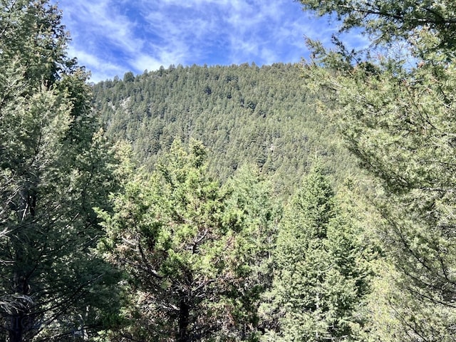 NHN Lost Creek Rd, Anaconda, MT 59711 - photo 23