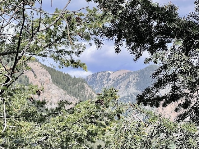 NHN Lost Creek Rd, Anaconda, MT 59711 - photo 24