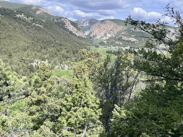 NHN Lost Creek Rd, Anaconda, MT 59711 - photo 25